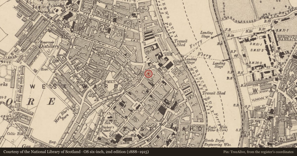Ordnance Survey six-inch map, 2nd edition (1888–1915) covering the location of 18 Lower Magazine St., Londonderry, Derry City and Strabane, with a pin at the register's coordinates