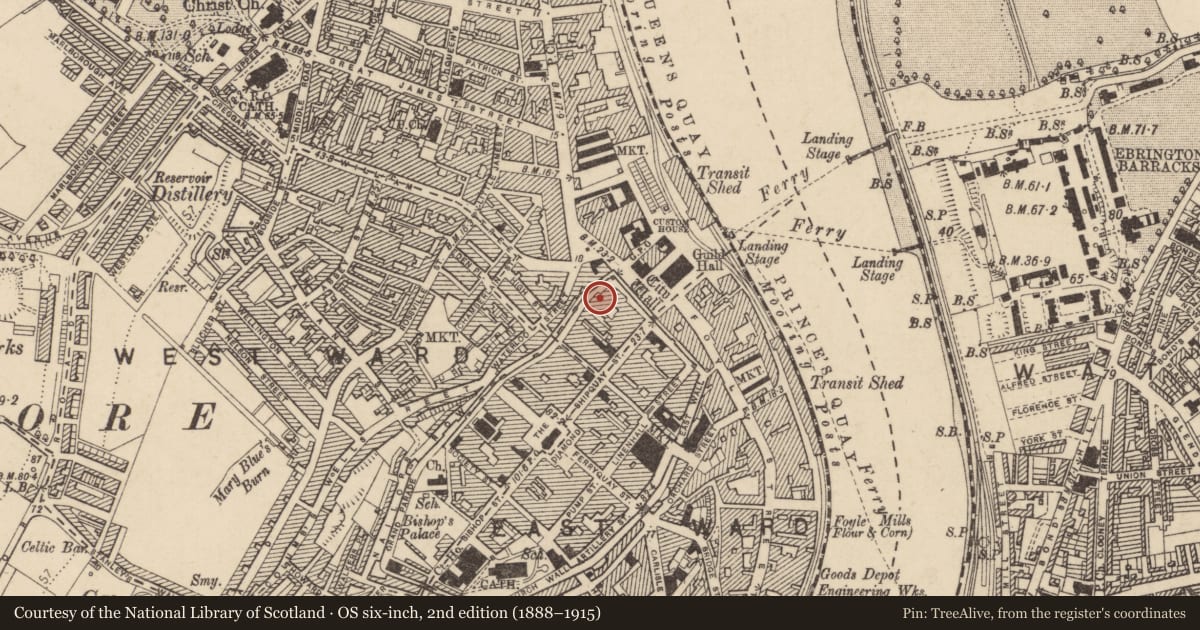 Ordnance Survey six-inch map, 2nd edition (1888–1915) covering the location of 19 Lower Magazine St., Londonderry, Derry City and Strabane, with a pin at the register's coordinates