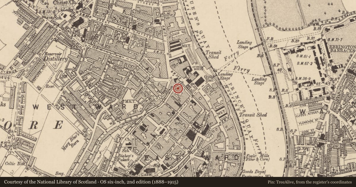 Ordnance Survey six-inch map, 2nd edition (1888–1915) covering the location of 20 Lower Magazine St., Edenballymore, Derry City and Strabane, with a pin at the register's coordinates