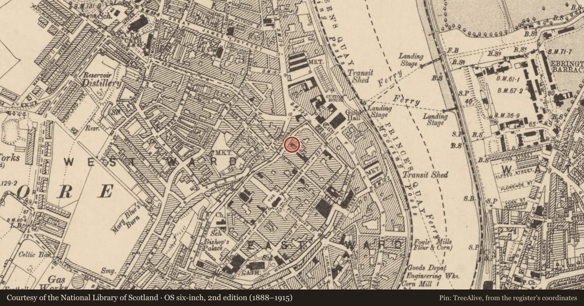 Ordnance Survey six-inch map, 2nd edition (1888–1915) covering the location of 14 Lower Magazine St., Londonderry, Derry City and Strabane, with a pin at the register's coordinates