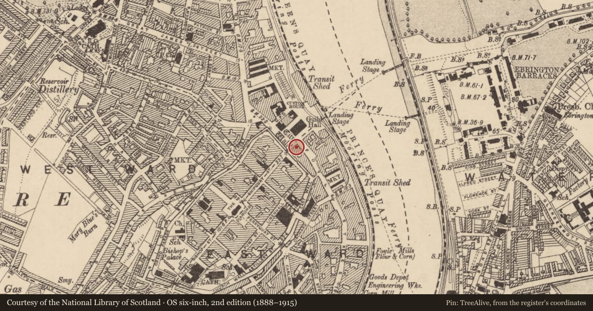 Ordnance Survey six-inch map, 2nd edition (1888–1915) covering the location of 2, 3 AND 4 Shipquay Place, Londonderry, Derry City and Strabane, with a pin at the register's coordinates