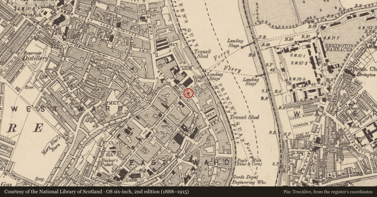 Ordnance Survey six-inch map, 2nd edition (1888–1915) covering the location of 5 Shipquay Place, Londonderry, Derry City and Strabane, with a pin at the register's coordinates