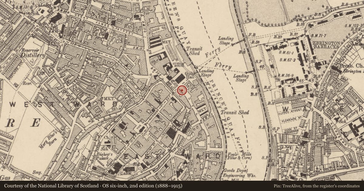 Ordnance Survey six-inch map, 2nd edition (1888–1915) covering the location of 3 Foyle St., Londonderry, Derry City and Strabane, with a pin at the register's coordinates