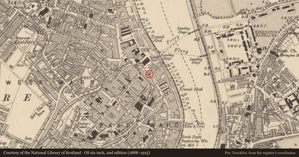 Ordnance Survey six-inch map, 2nd edition (1888–1915) covering the location of 5 - 15 Foyle Street (Commercial Buildings) Londonderry Co.Londonderry BT48 6AL, Derry City and Strabane, with a pin at the register's coordinates