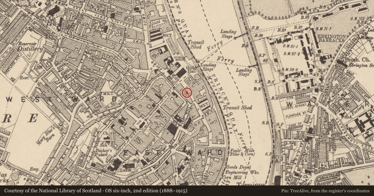 Ordnance Survey six-inch map, 2nd edition (1888–1915) covering the location of 17 Foyle Street, Londonderry, Derry City and Strabane, with a pin at the register's coordinates