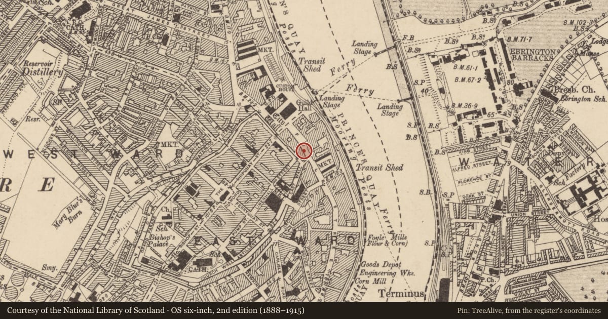 Ordnance Survey six-inch map, 2nd edition (1888–1915) covering the location of 23 Foyle St., Londonderry, Derry City and Strabane, with a pin at the register's coordinates