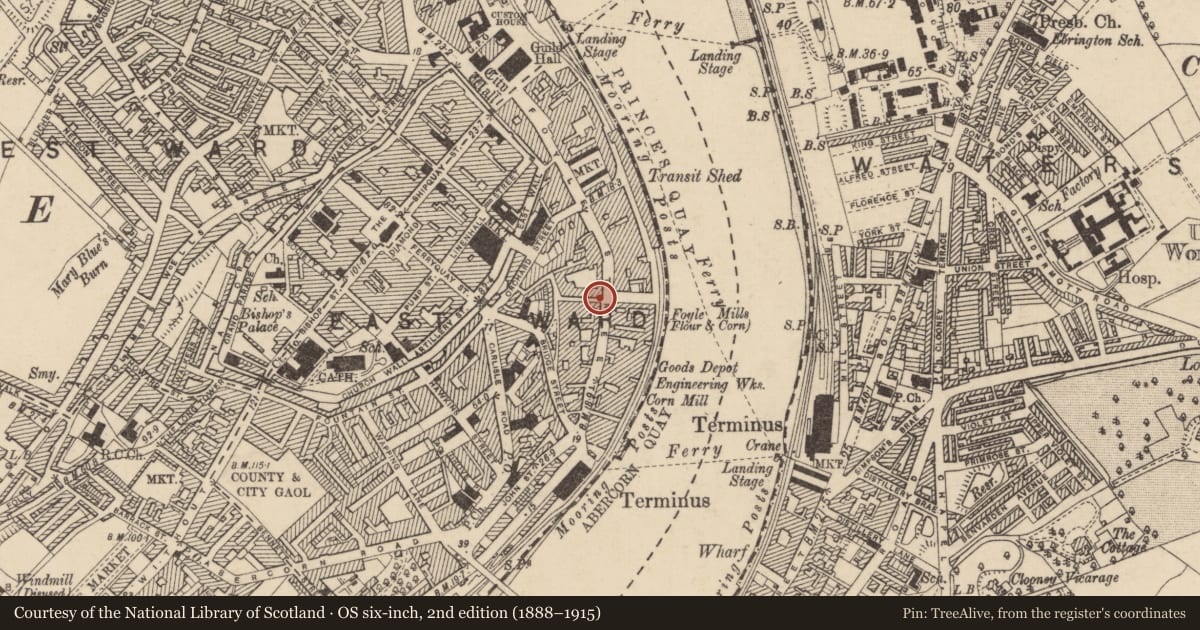 Ordnance Survey six-inch map, 2nd edition (1888–1915) covering the location of 81 Foyle Street, Derry City and Strabane, with a pin at the register's coordinates
