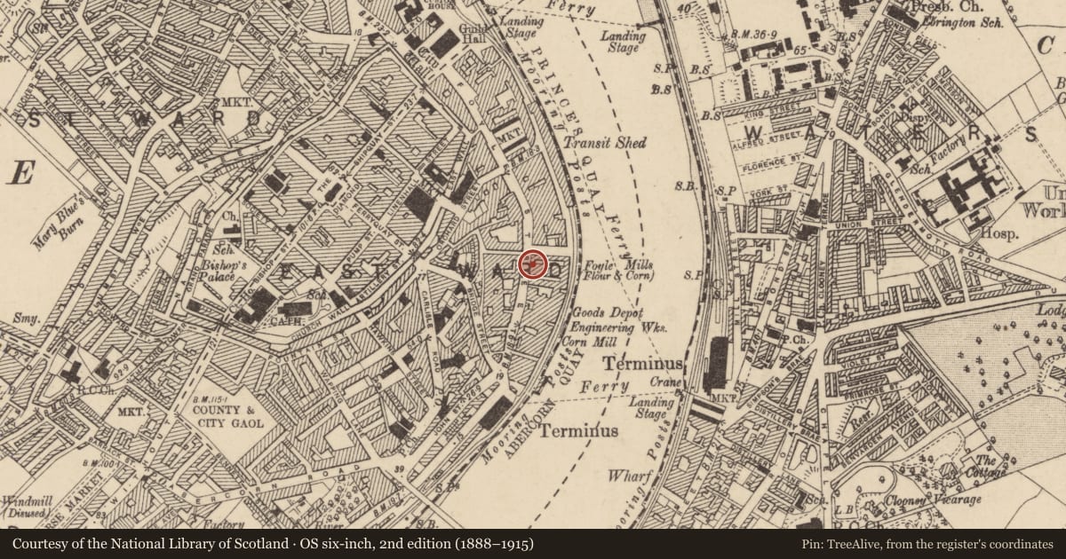 Ordnance Survey six-inch map, 2nd edition (1888–1915) covering the location of 83-95 Foyle Street, Derry City and Strabane, with a pin at the register's coordinates
