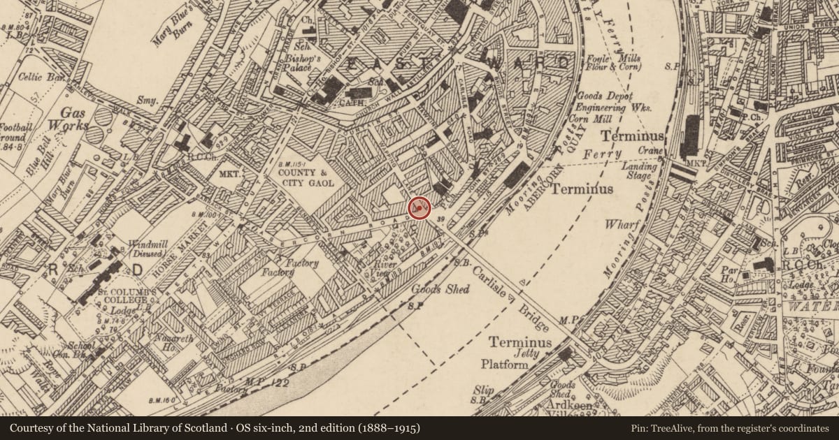 Ordnance Survey six-inch map, 2nd edition (1888–1915) covering the location of Abercorn Factory, Londonderry and Suburbs, Derry City and Strabane, with a pin at the register's coordinates