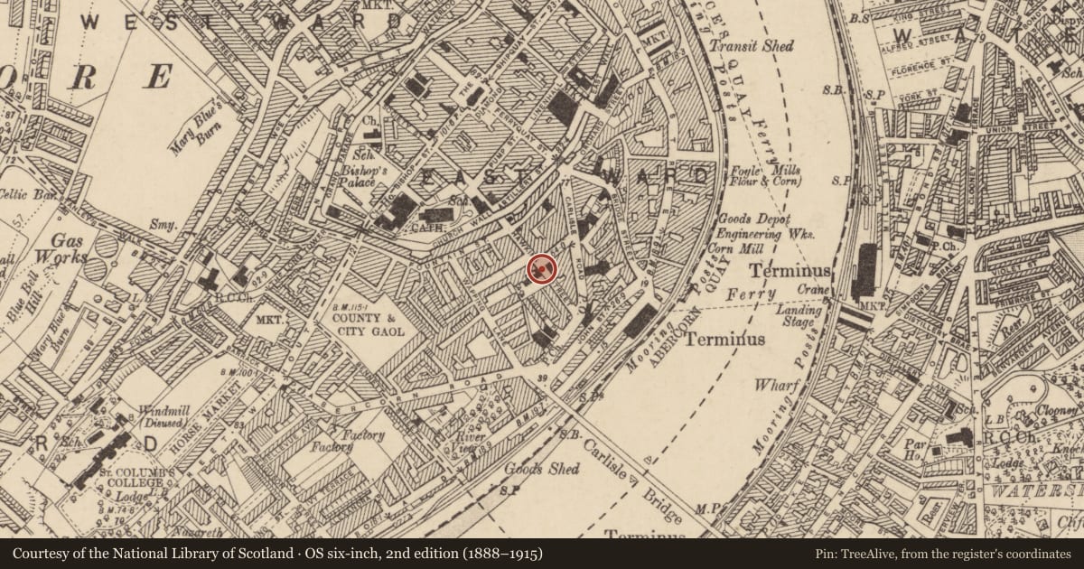 Ordnance Survey six-inch map, 2nd edition (1888–1915) covering the location of Whitehall Chambers, Derry City and Strabane, with a pin at the register's coordinates
