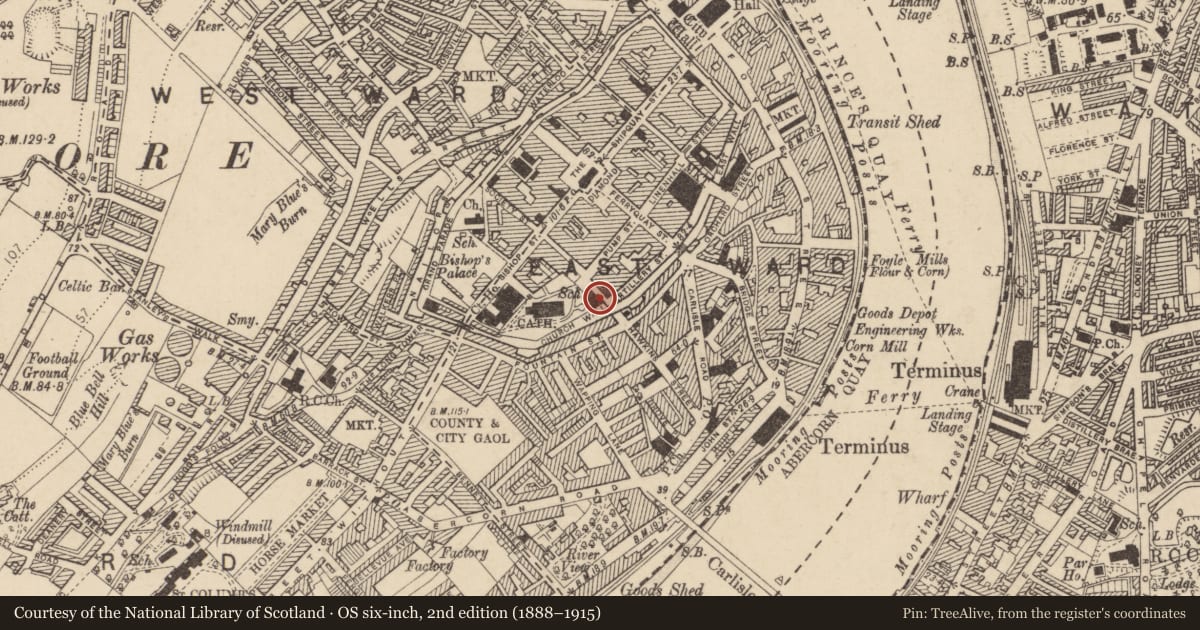Ordnance Survey six-inch map, 2nd edition (1888–1915) covering the location of Derry Cathedral Primary School, Londonderry, Derry City and Strabane, with a pin at the register's coordinates