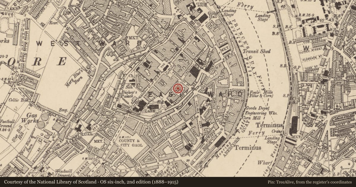 Ordnance Survey six-inch map, 2nd edition (1888–1915) covering the location of Bedlam Market, Londonderry, Derry City and Strabane, with a pin at the register's coordinates
