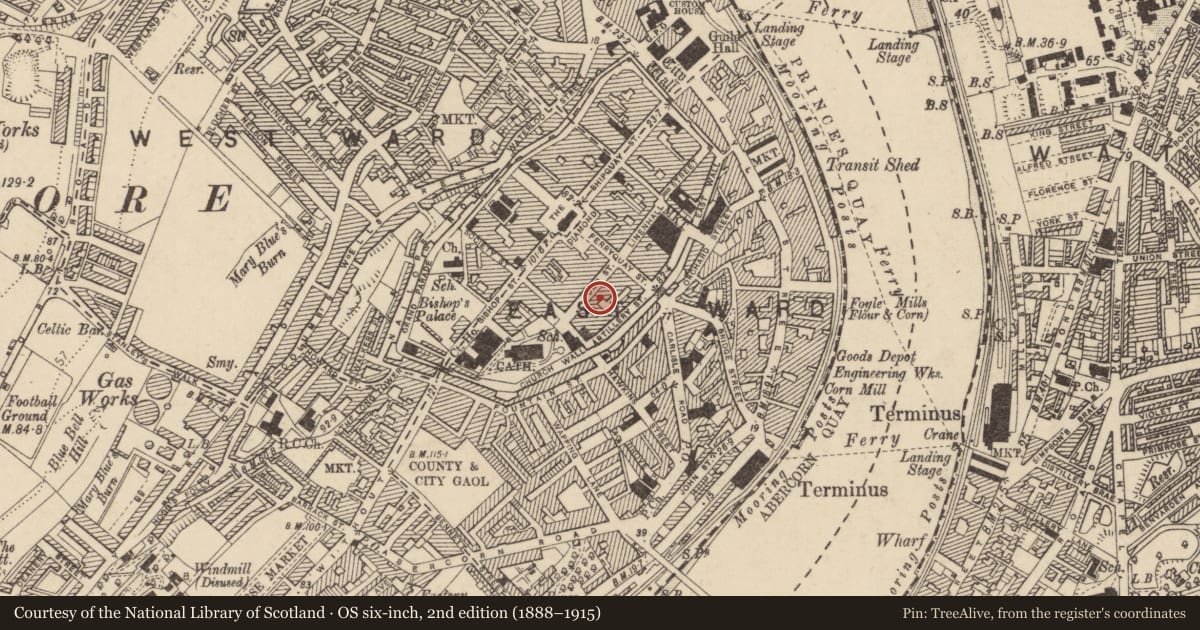 Ordnance Survey six-inch map, 2nd edition (1888–1915) covering the location of Bedlam Market, Londonderry, Derry City and Strabane, with a pin at the register's coordinates