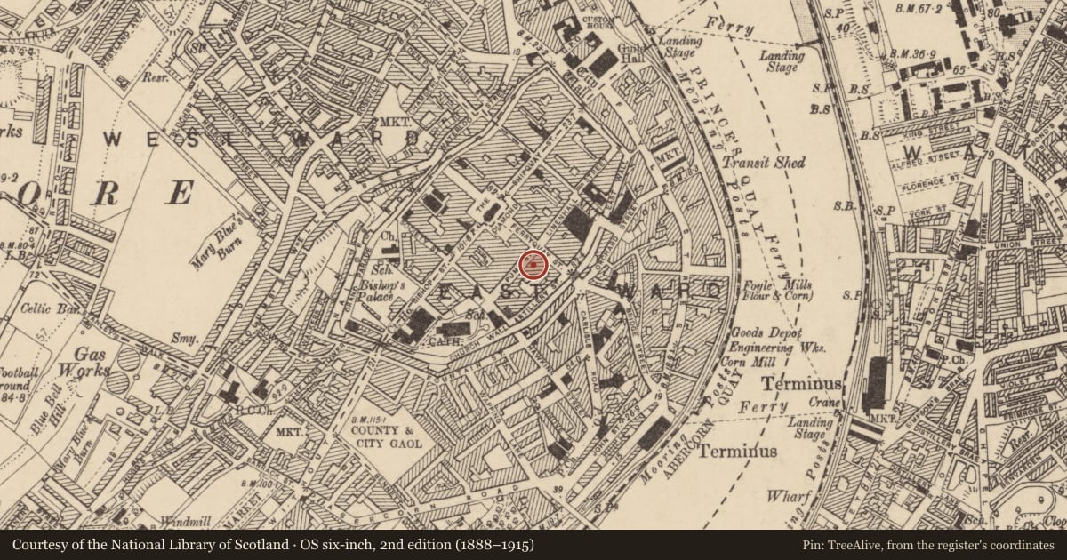 Ordnance Survey six-inch map, 2nd edition (1888–1915) covering the location of 6-8 Pump St., Derry City and Strabane, with a pin at the register's coordinates
