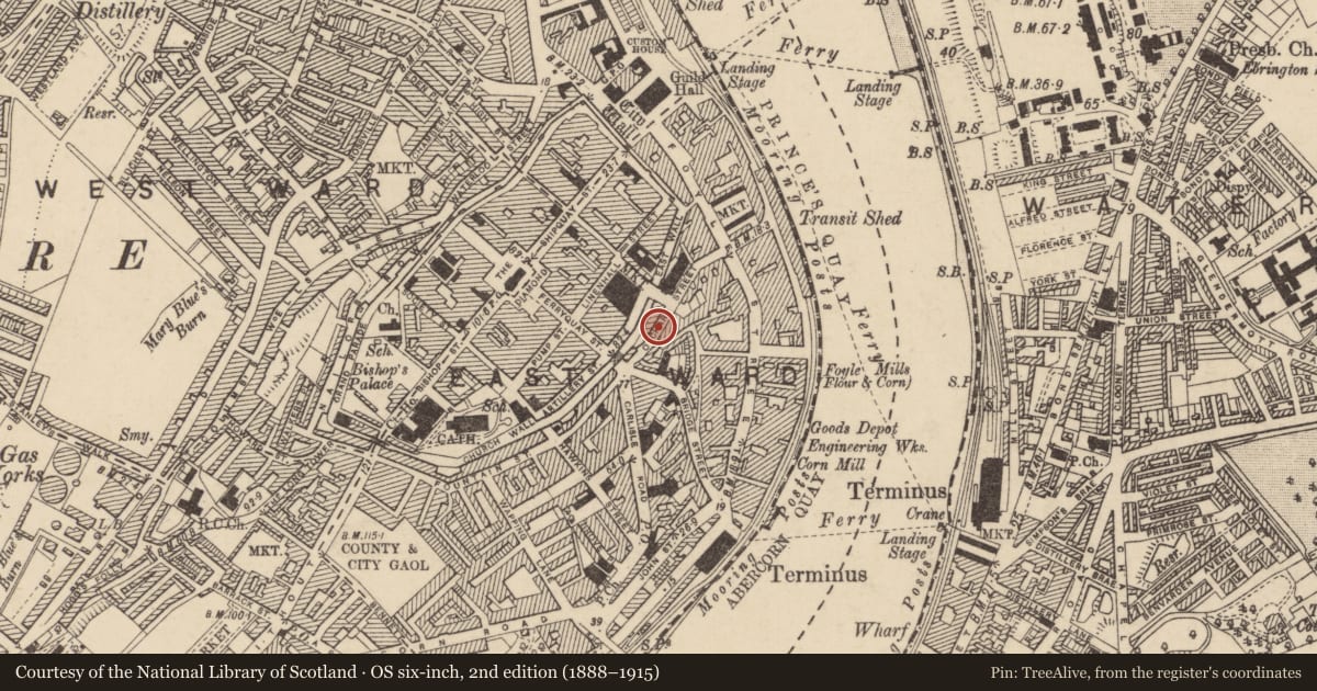 Ordnance Survey six-inch map, 2nd edition (1888–1915) covering the location of 8 Orchard Street, Derry City and Strabane, with a pin at the register's coordinates