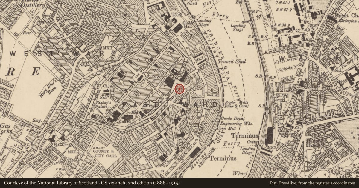 Ordnance Survey six-inch map, 2nd edition (1888–1915) covering the location of 10 Orchard Street, Derry City and Strabane, with a pin at the register's coordinates