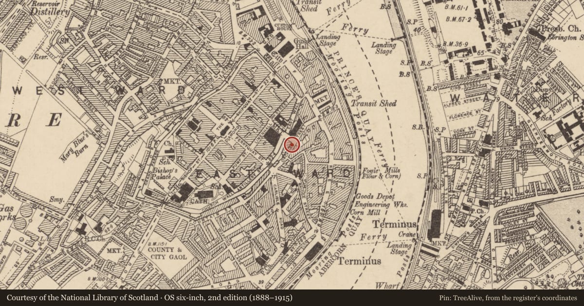 Ordnance Survey six-inch map, 2nd edition (1888–1915) covering the location of 12 Orchard Street, Derry City and Strabane, with a pin at the register's coordinates