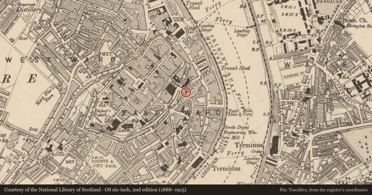 Ordnance Survey six-inch map, 2nd edition (1888–1915) covering the location of 14 Orchard Street, Derry City and Strabane, with a pin at the register's coordinates