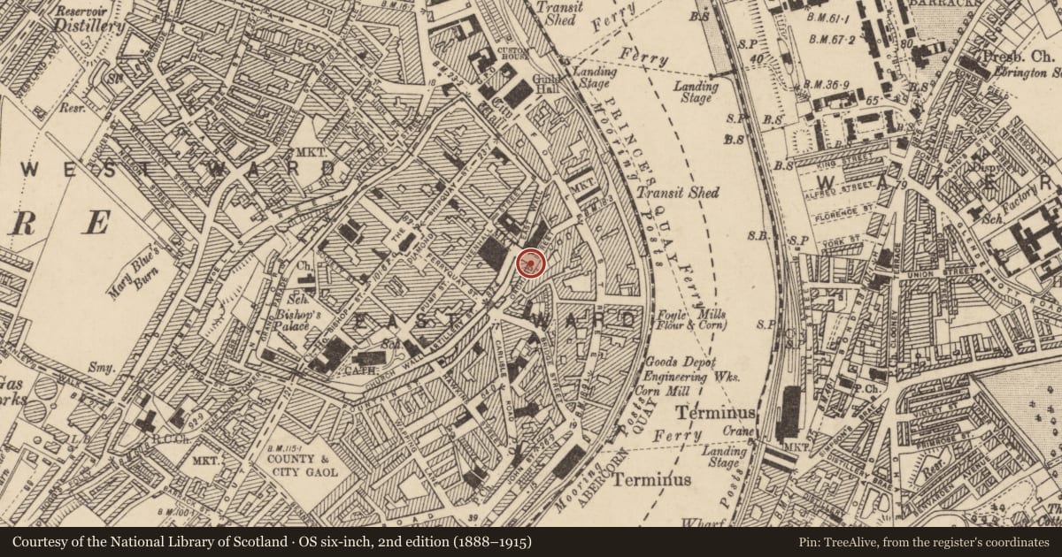 Ordnance Survey six-inch map, 2nd edition (1888–1915) covering the location of 16 Orchard St., Derry City and Strabane, with a pin at the register's coordinates