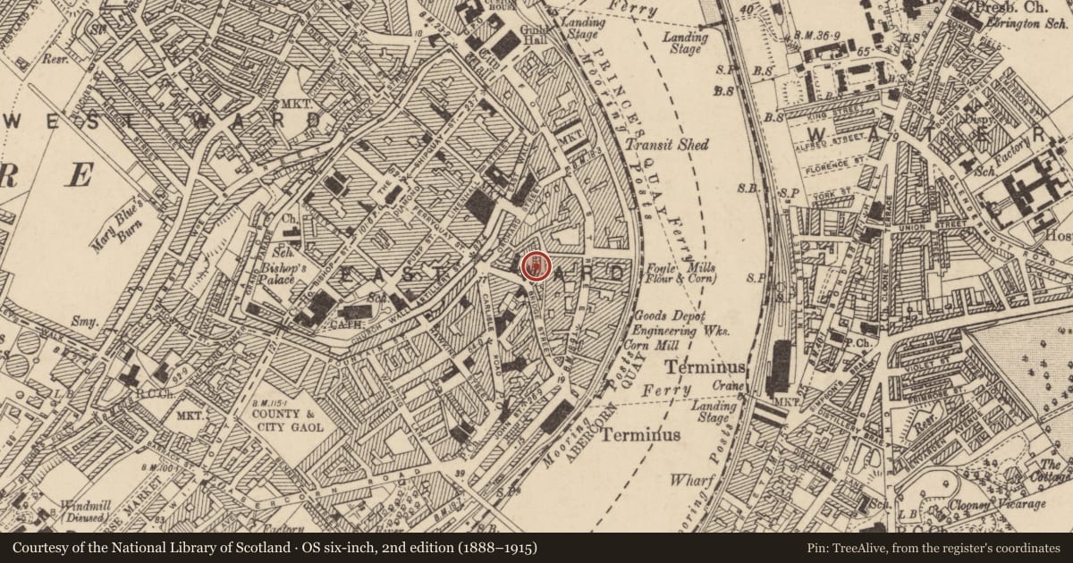 Ordnance Survey six-inch map, 2nd edition (1888–1915) covering the location of St Patricks School, Derry City and Strabane, with a pin at the register's coordinates