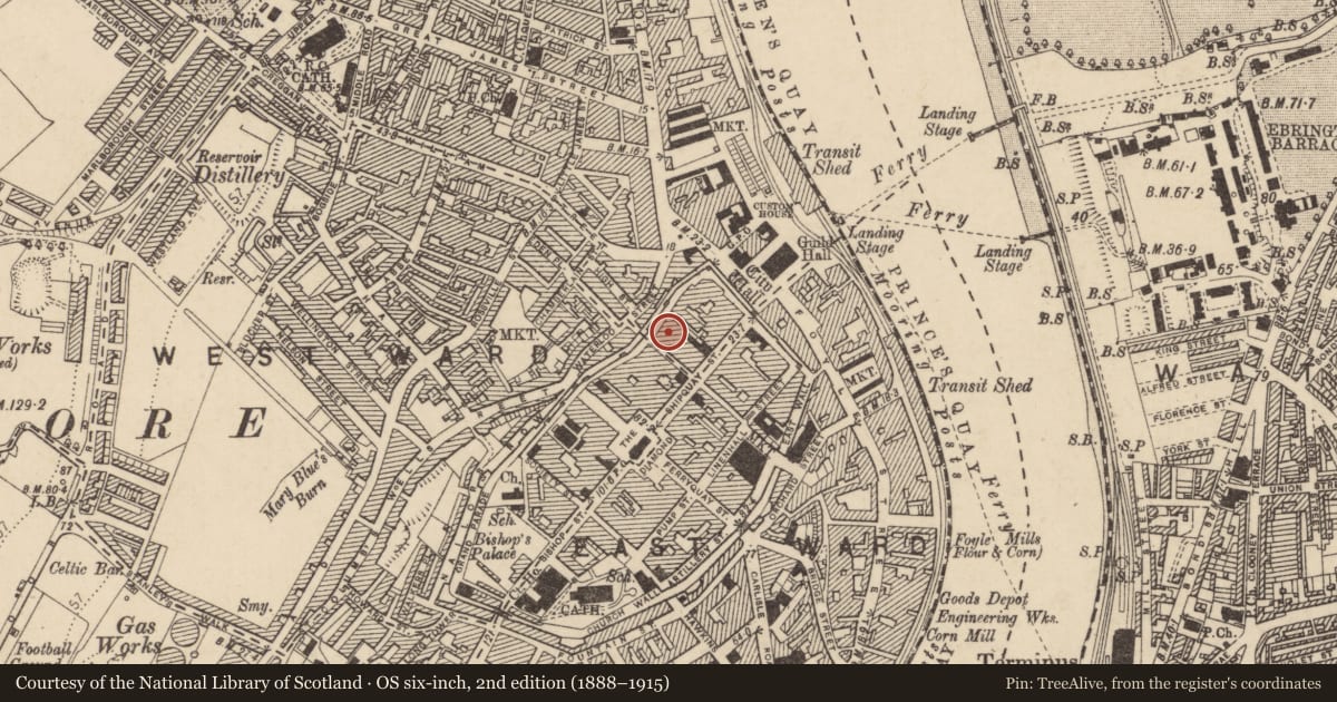 Ordnance Survey six-inch map, 2nd edition (1888–1915) covering the location of 12 Magazine Street, Londonderry, Derry City and Strabane, with a pin at the register's coordinates