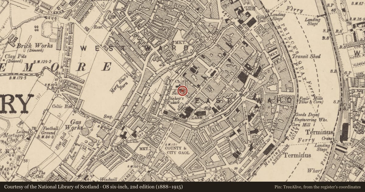 Ordnance Survey six-inch map, 2nd edition (1888–1915) covering the location of 8 Palace Street, Londonderry, BT48 6PS, Derry City and Strabane, with a pin at the register's coordinates