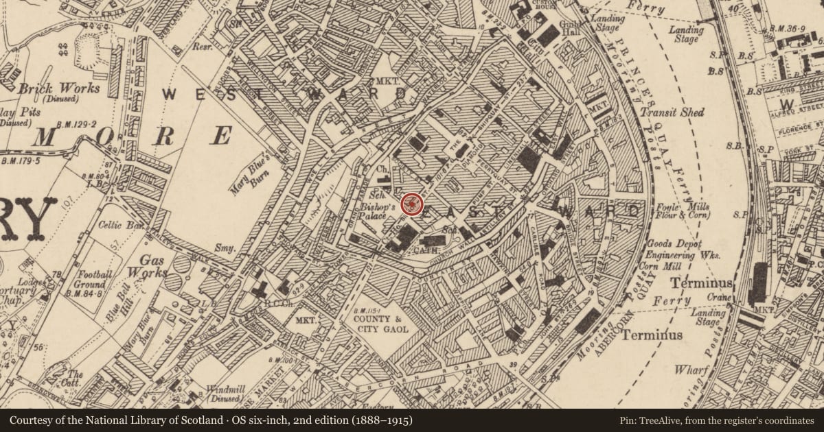 Ordnance Survey six-inch map, 2nd edition (1888–1915) covering the location of 23 A Bishop Street, Londonderry, Derry City and Strabane, with a pin at the register's coordinates