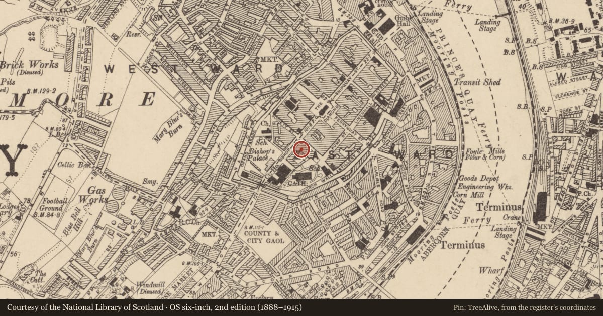 Ordnance Survey six-inch map, 2nd edition (1888–1915) covering the location of 26-28 Bishop Street, Londonderry, Derry City and Strabane, with a pin at the register's coordinates