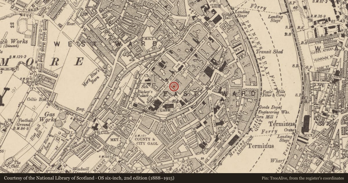 Ordnance Survey six-inch map, 2nd edition (1888–1915) covering the location of No. 6 London Street, Londonderry, Derry City and Strabane, with a pin at the register's coordinates