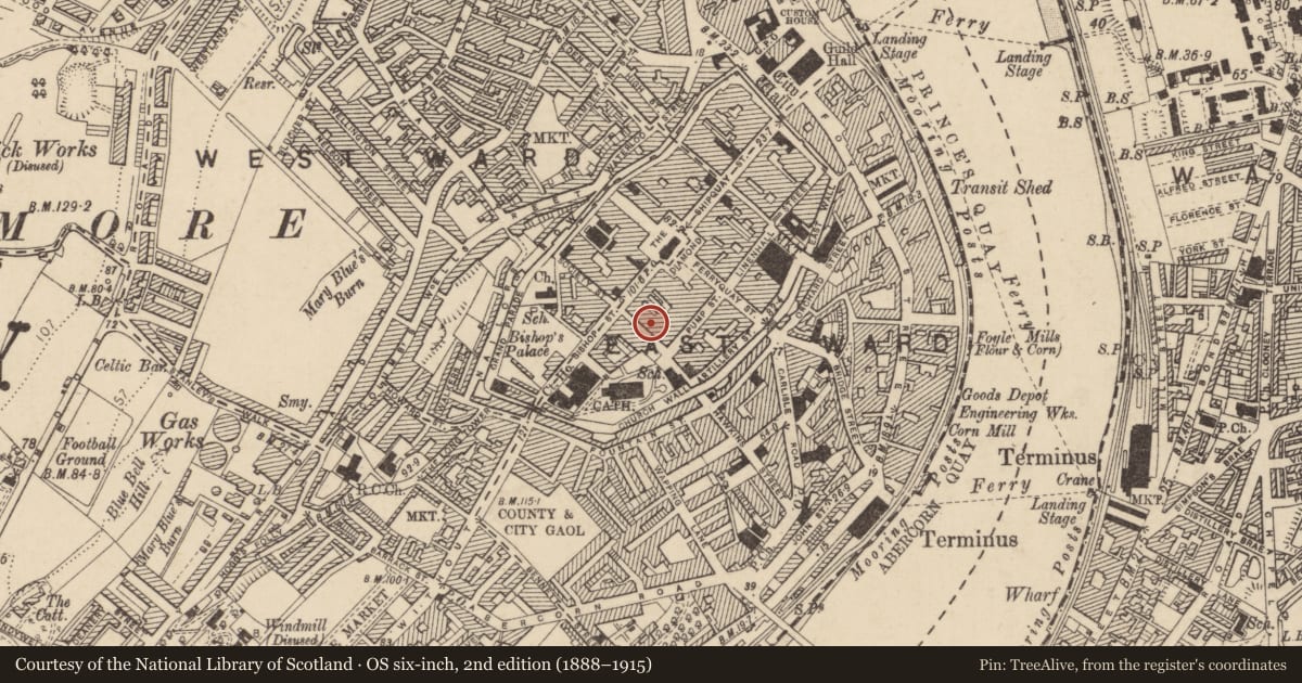 Ordnance Survey six-inch map, 2nd edition (1888–1915) covering the location of No. 8 London Street, Londonderry, Derry City and Strabane, with a pin at the register's coordinates