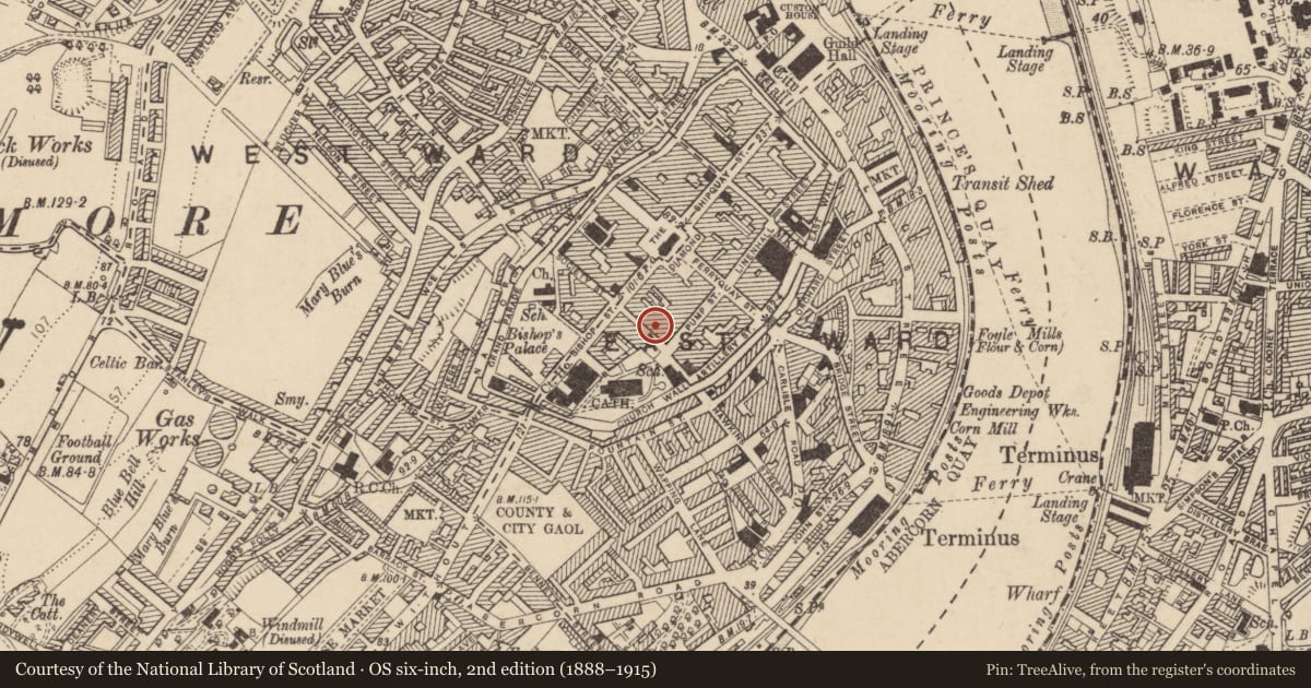 Ordnance Survey six-inch map, 2nd edition (1888–1915) covering the location of No. 12 London Street, Londonderry, Derry City and Strabane, with a pin at the register's coordinates