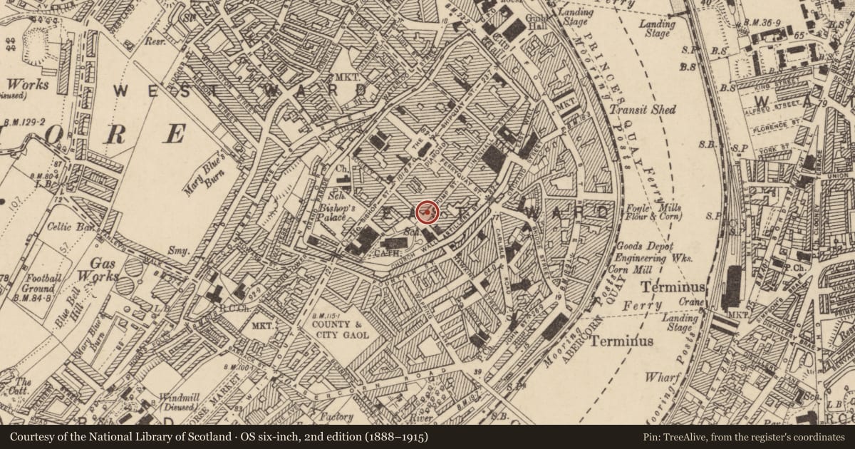 Ordnance Survey six-inch map, 2nd edition (1888–1915) covering the location of 22 London Street, Londonderry, Derry City and Strabane, with a pin at the register's coordinates