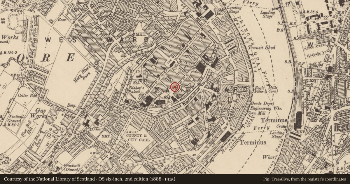 Ordnance Survey six-inch map, 2nd edition (1888–1915) covering the location of 19 Pump Street, Londonderry, Derry City and Strabane, with a pin at the register's coordinates
