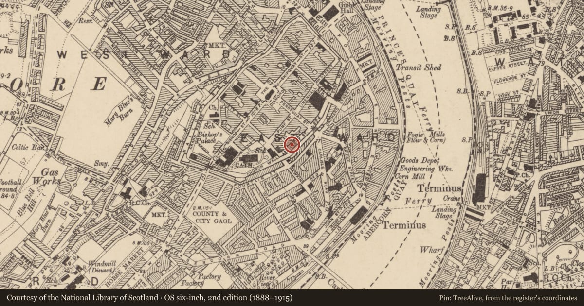 Ordnance Survey six-inch map, 2nd edition (1888–1915) covering the location of 8-9 Artillery Street, Londonderry, Derry City and Strabane, with a pin at the register's coordinates