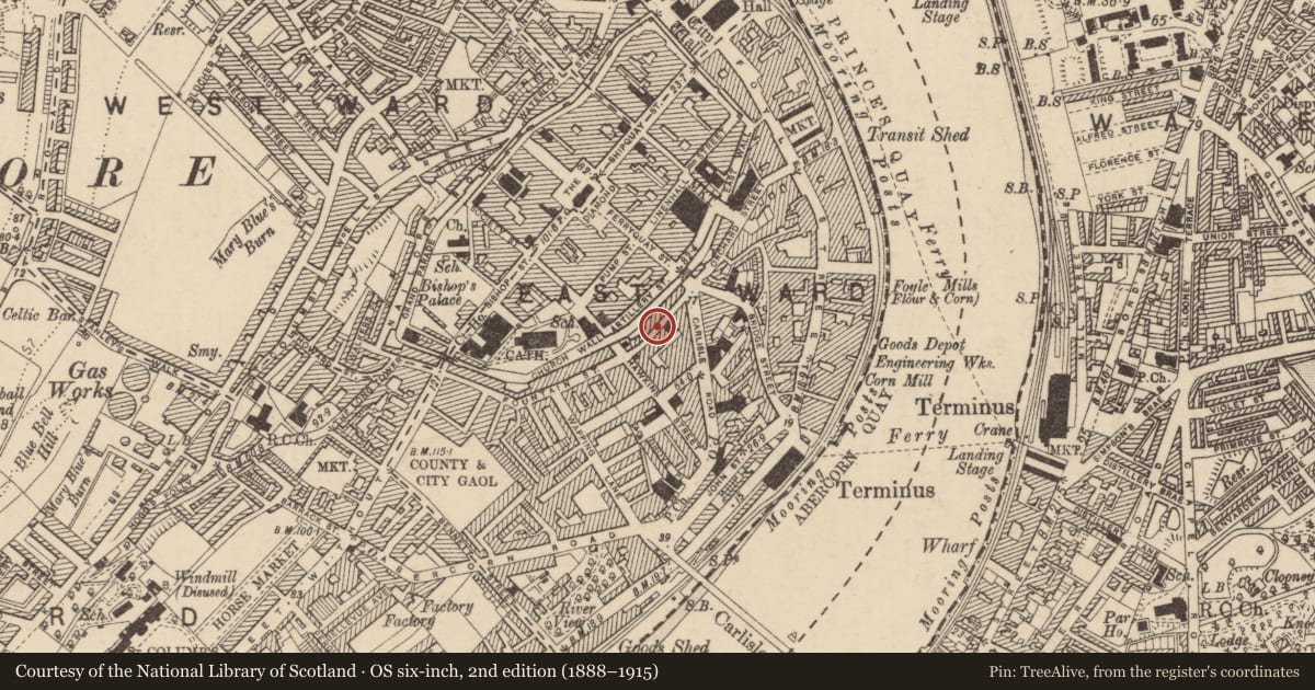 Ordnance Survey six-inch map, 2nd edition (1888–1915) covering the location of 23 Fountain Street, Londonderry, Derry City and Strabane, with a pin at the register's coordinates