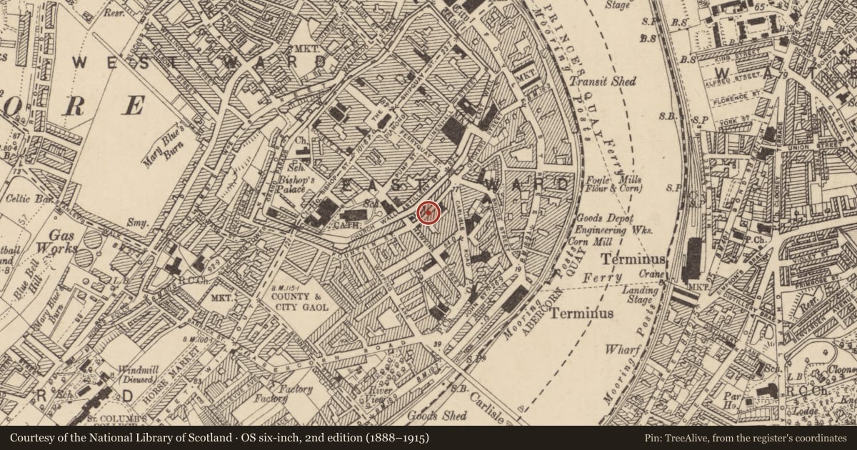 Ordnance Survey six-inch map, 2nd edition (1888–1915) covering the location of 29 Fountain Street, Londonderry, Derry City and Strabane, with a pin at the register's coordinates