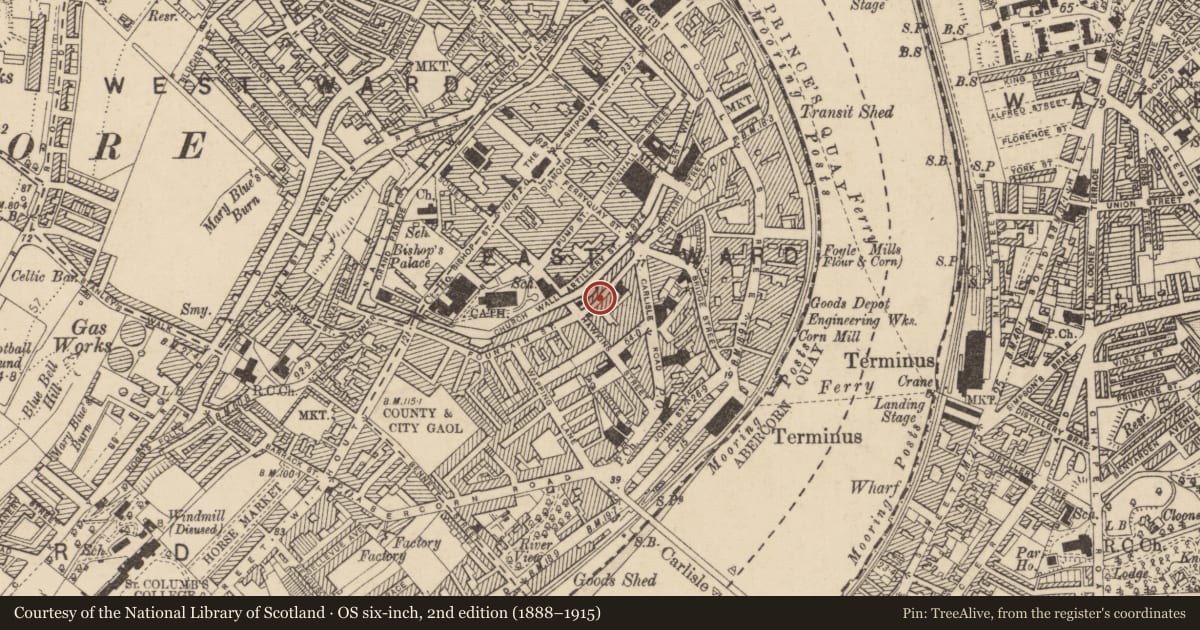 Ordnance Survey six-inch map, 2nd edition (1888–1915) covering the location of 31 Fountain Street, Londonderry, Derry City and Strabane, with a pin at the register's coordinates
