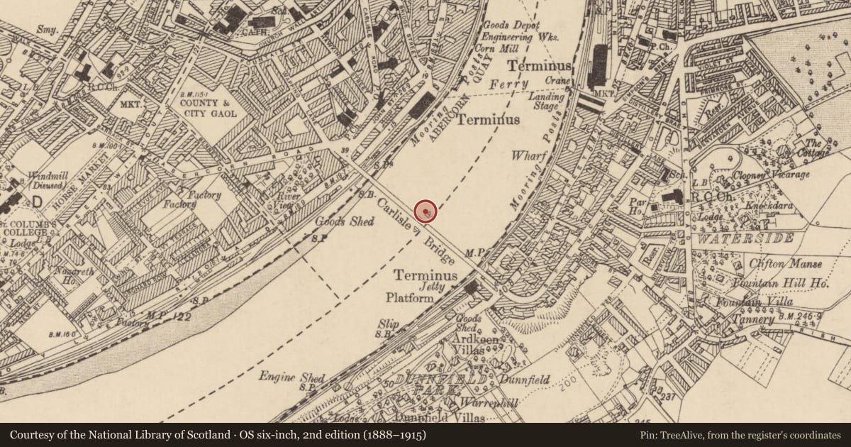 Ordnance Survey six-inch map, 2nd edition (1888–1915) covering the location of Craigavon Bridge, Londonderry and Suburbs/Gobnascale, Derry City and Strabane, with a pin at the register's coordinates