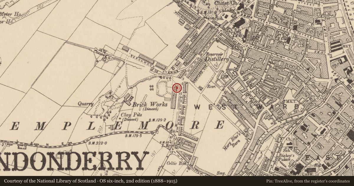 Ordnance Survey six-inch map, 2nd edition (1888–1915) covering the location of 2 West End Park, Edenballymore, Derry City and Strabane, with a pin at the register's coordinates