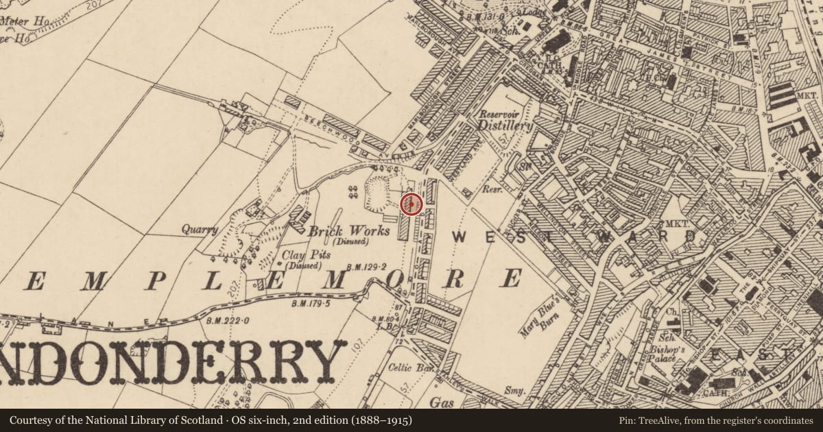 Ordnance Survey six-inch map, 2nd edition (1888–1915) covering the location of 6 West End Park, Edenballymore, Derry City and Strabane, with a pin at the register's coordinates