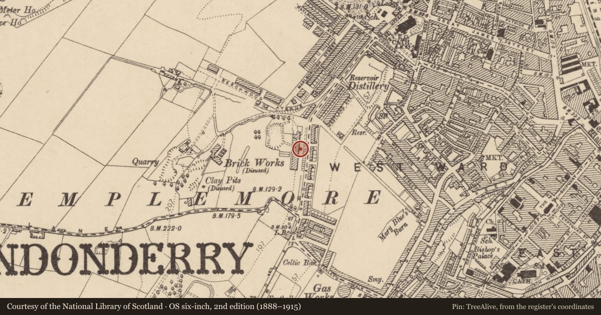 Ordnance Survey six-inch map, 2nd edition (1888–1915) covering the location of 9-11 West End Park, Derry City and Strabane, with a pin at the register's coordinates