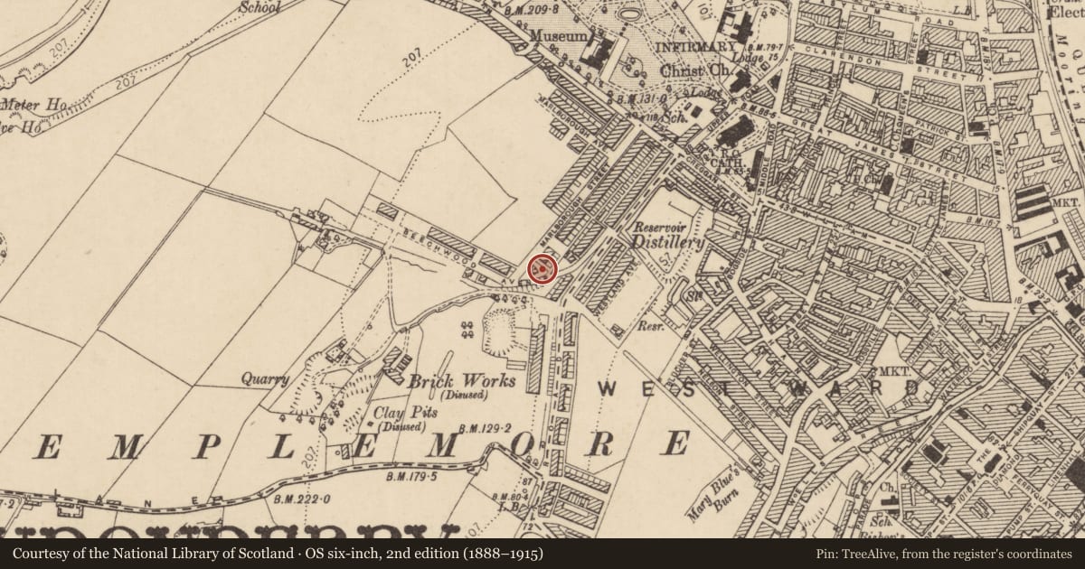 Ordnance Survey six-inch map, 2nd edition (1888–1915) covering the location of 26 Beechwood Avenue, Derry City and Strabane, with a pin at the register's coordinates