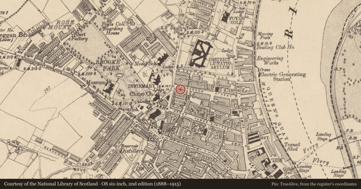 Ordnance Survey six-inch map, 2nd edition (1888–1915) covering the location of 65 Claredon Street, Edenballymore, Derry City and Strabane, with a pin at the register's coordinates