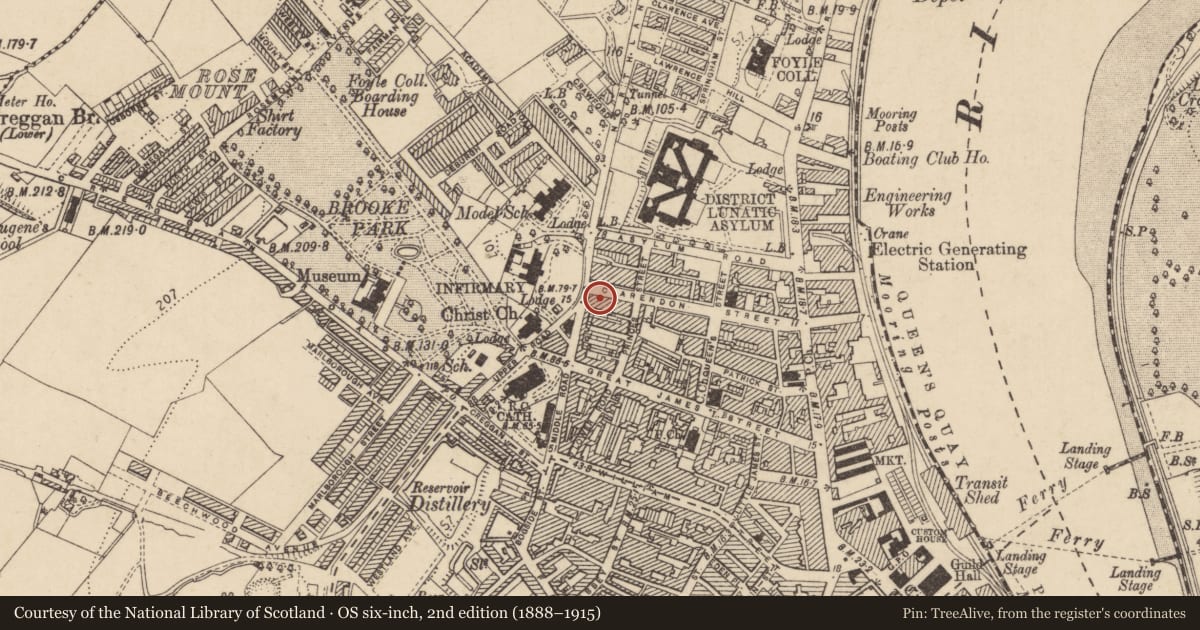 Ordnance Survey six-inch map, 2nd edition (1888–1915) covering the location of 69 Clarendon St., Edenballymore, Derry City and Strabane, with a pin at the register's coordinates