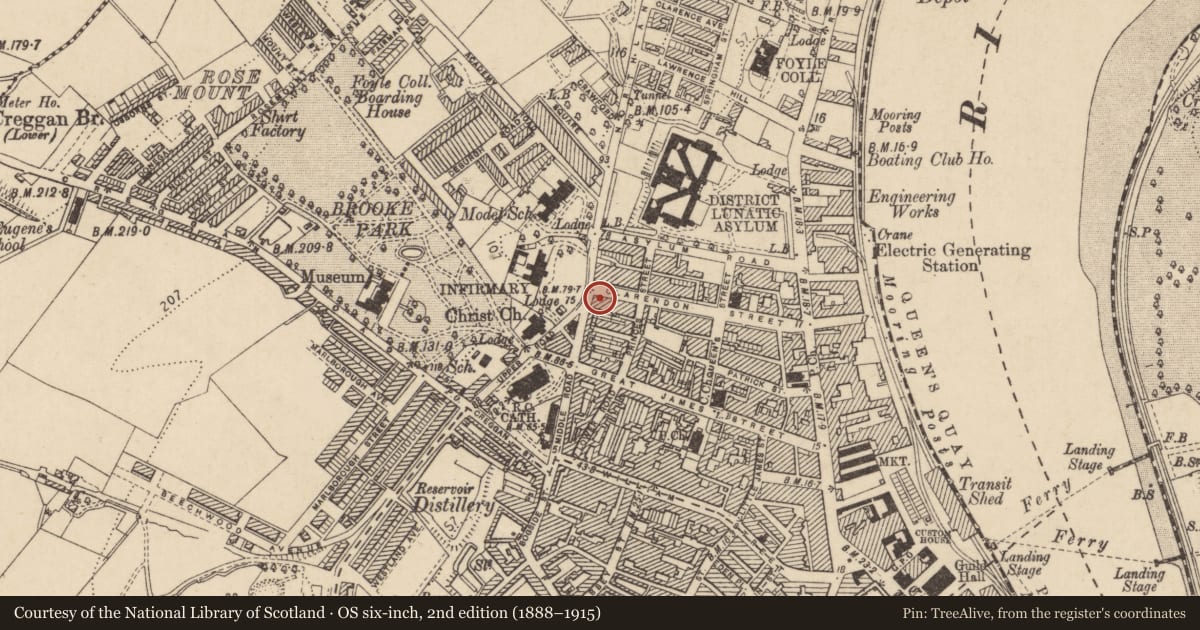 Ordnance Survey six-inch map, 2nd edition (1888–1915) covering the location of 71 Clarendon St., Edenballymore, Derry City and Strabane, with a pin at the register's coordinates