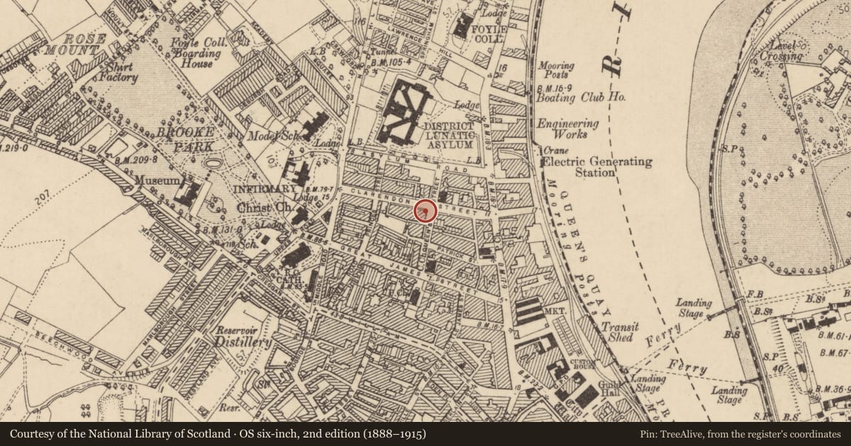 Ordnance Survey six-inch map, 2nd edition (1888–1915) covering the location of 31 Clarendon St., Edenballymore, Derry City and Strabane, with a pin at the register's coordinates