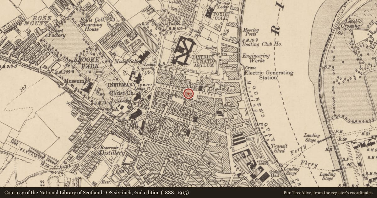 Ordnance Survey six-inch map, 2nd edition (1888–1915) covering the location of 37 Clarendon St., Edenballymore, Derry City and Strabane, with a pin at the register's coordinates