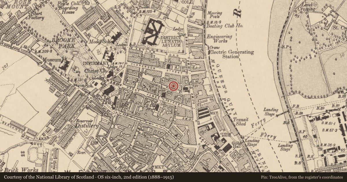 Ordnance Survey six-inch map, 2nd edition (1888–1915) covering the location of City Factory, Edenballymore, Derry City and Strabane, with a pin at the register's coordinates