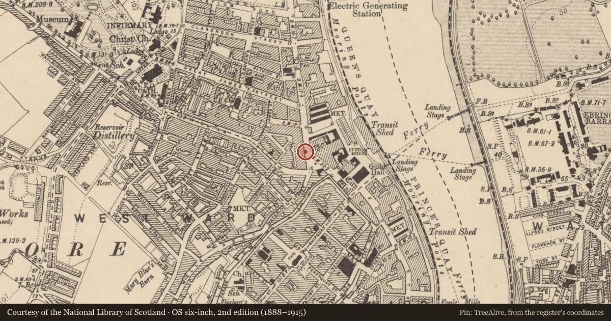 Ordnance Survey six-inch map, 2nd edition (1888–1915) covering the location of Stevensons, Derry City and Strabane, with a pin at the register's coordinates
