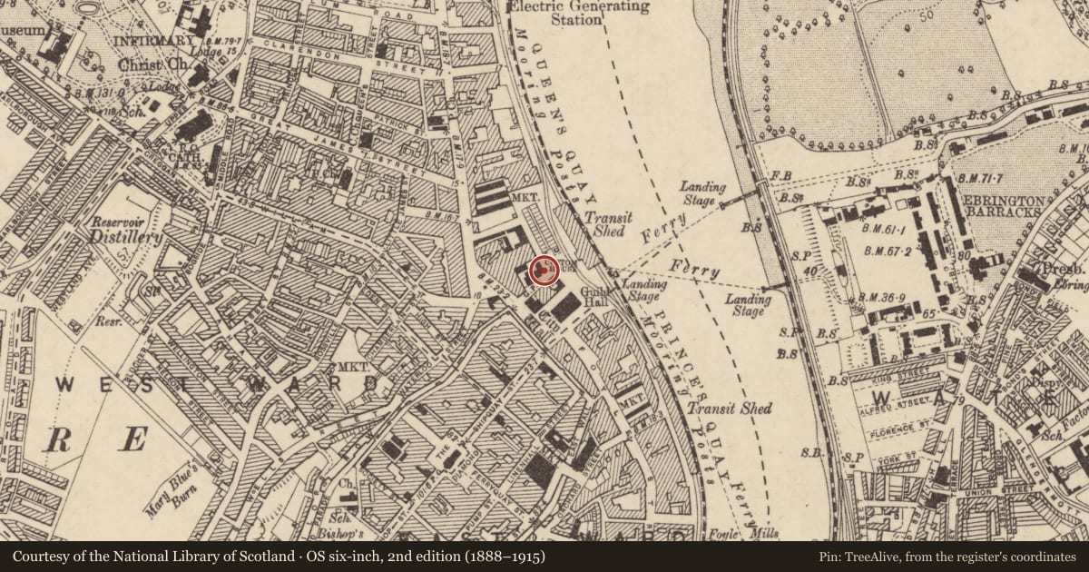 Ordnance Survey six-inch map, 2nd edition (1888–1915) covering the location of Custom House, Londonderry, Derry City and Strabane, with a pin at the register's coordinates